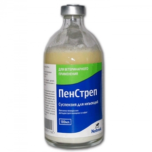 ПенСтреп (Penstrep) 100мл