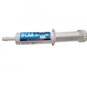 БСАА паста ( BCAA paste) 60мл